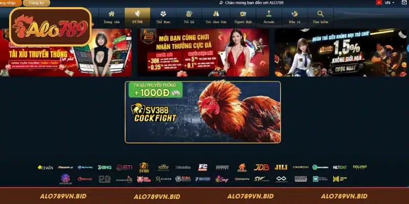 Ba loại cựa đá gà cựa dao cựa sắt tròn và gà đòn tại ALO789