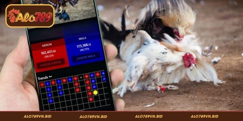 Mẹo tận dụng stream 4K đá gà ALO789 hiệu quả